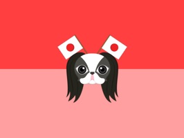 Are you a Japanese Chin puppy lover