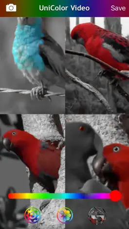 Game screenshot UniColor Video apk