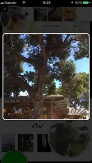 sapiophile iphone capturas de pantalla 3