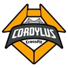 CrossFit Cordylus