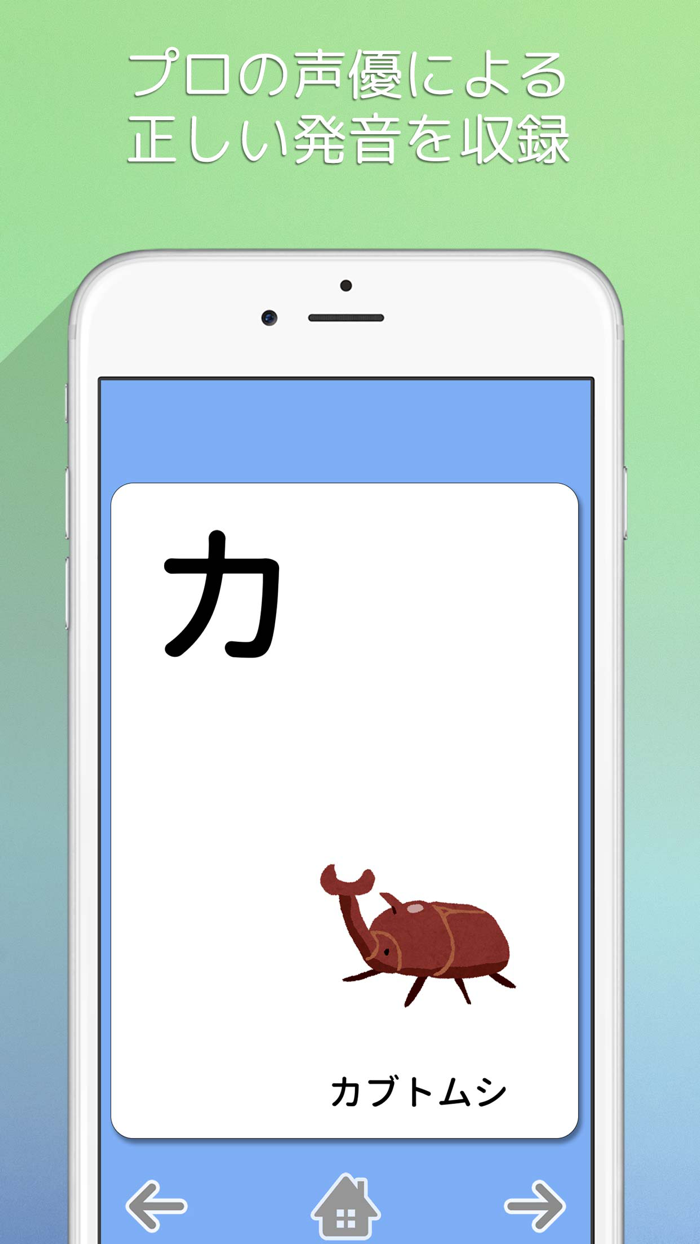 Katakana Card