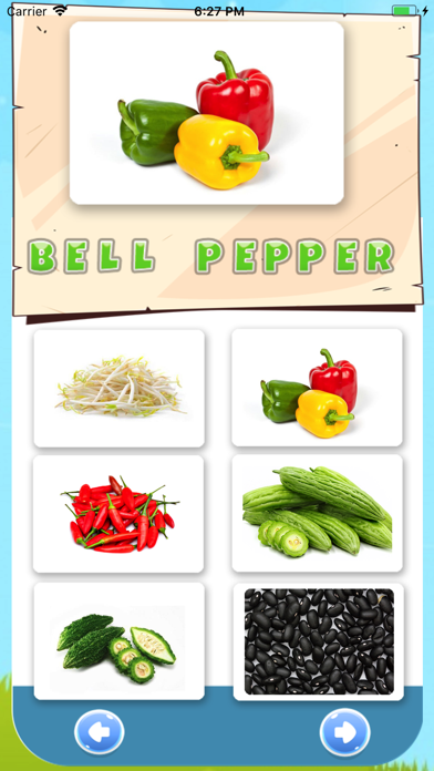 Vegetable Vocabulary English screenshot 2