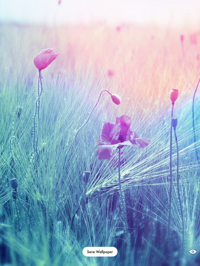 Duvar - Wallpaper Live HD