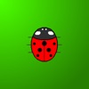 Icon Touch the Ladybug