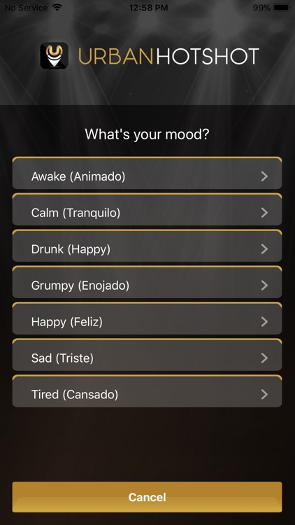 Urban Hotshot screenshot-4