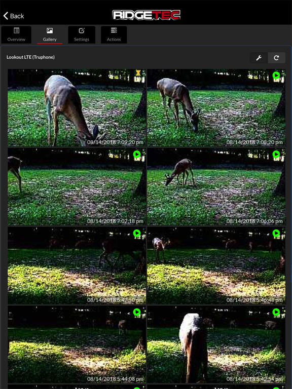Screenshot #6 pour Ridgetec Cellular Camera