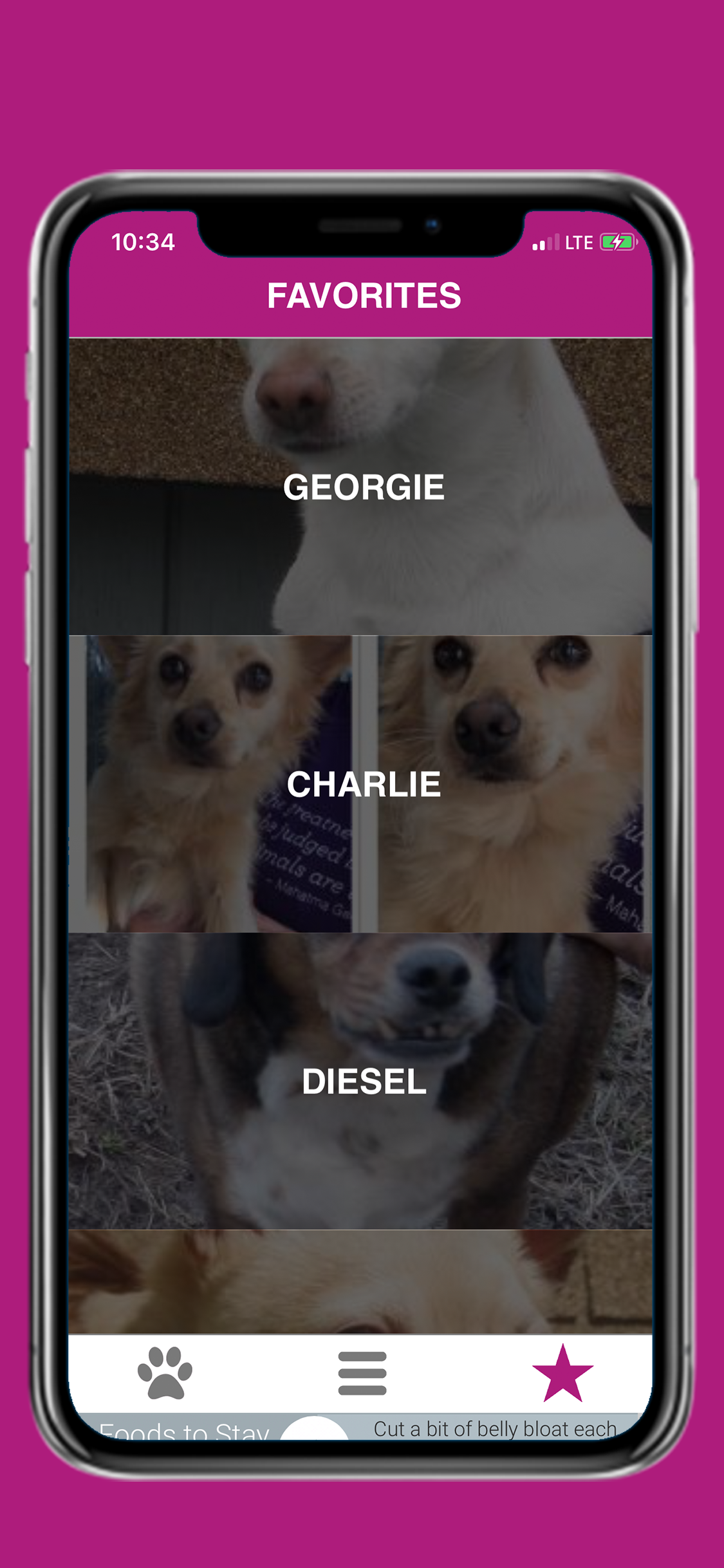 Pets - Find Yours screenshot 3