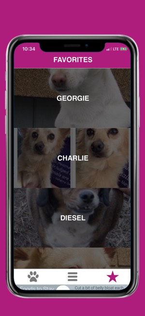 Pets - Find Yours(圖3)-速報App