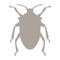 From the creators of the National Audubon Society Field Guides and the National Wildlife Federation Guides comes an all-new, beautiful and intuitive guide to 463 North American insects, with more than 500 photographs, dynamic search functions, and more