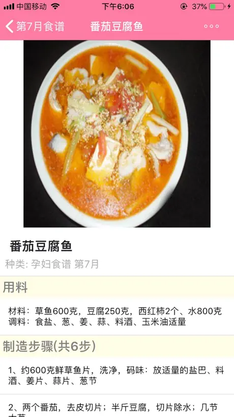 孕妇孕期营养师-怀孕期间怀孕妈妈饮食首选