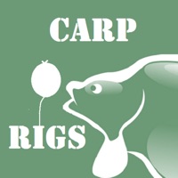 Carp Rigs - Carp Fishing Rigs apk