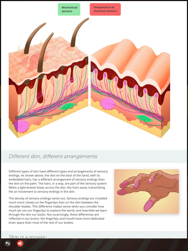 Touch Neuroscience(圖4)-速報App