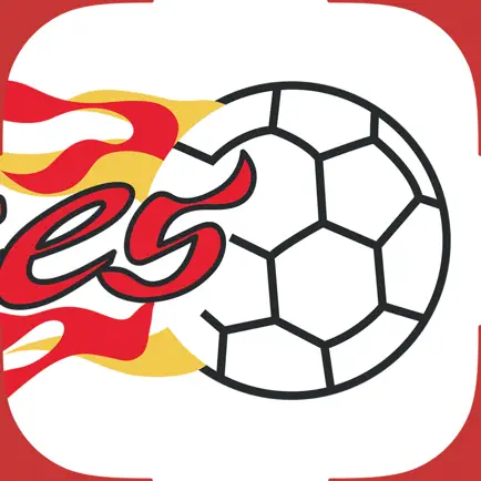 Flames Handball Читы