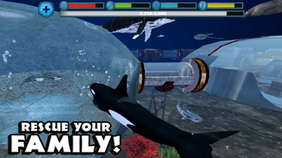 Orca Simulator screenshot 4