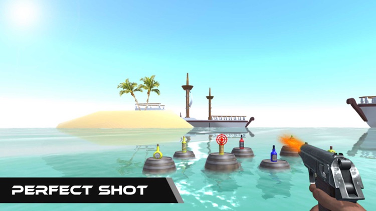 Real Gun Bottle Shoot Expert