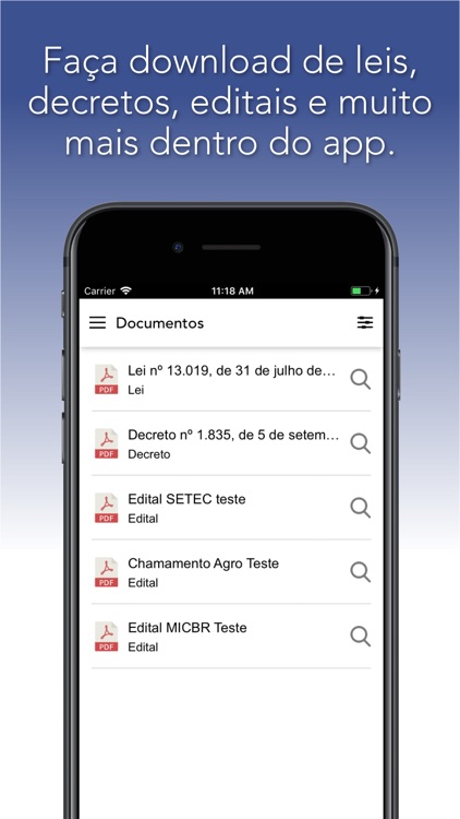 3º Setor Pará Digital - NAC