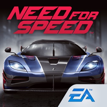 Need for Speed: NL Racing