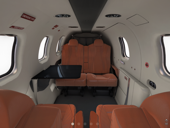 Screenshot #5 pour TBM 910 Interior
