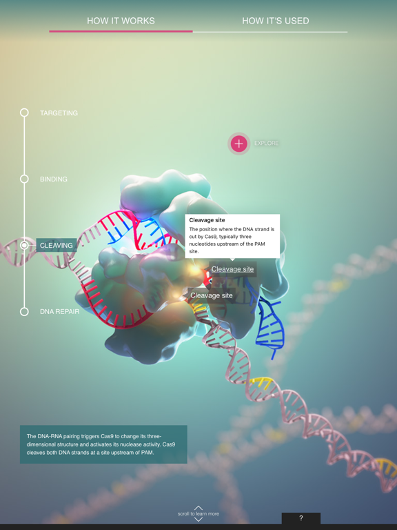 CRISPR-Cas9 iPad screenshot