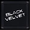 Black Velvet Livemusik