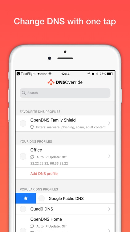 DNS Override