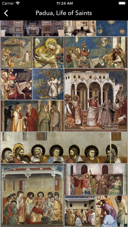 Giotto's Art