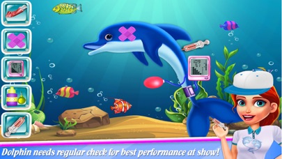 World Safari Dolphin Showのおすすめ画像5