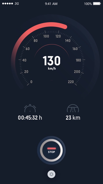 Reckless Driver Speed Tracking