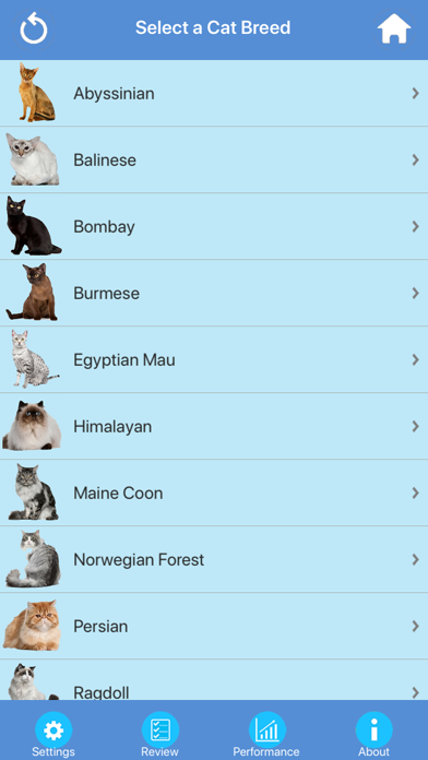 How to cancel & delete Cat Breeds Quiz from iphone & ipad 4