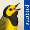 Bird Songs USA & Canada (3100) icon