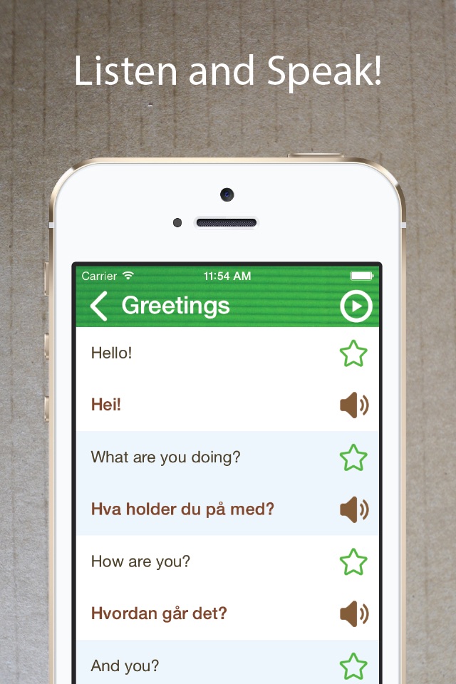 Learn Norwegian Phrasebook Pro screenshot 2