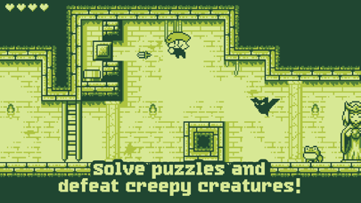 Tiny Dangerous Dungeons Screenshot