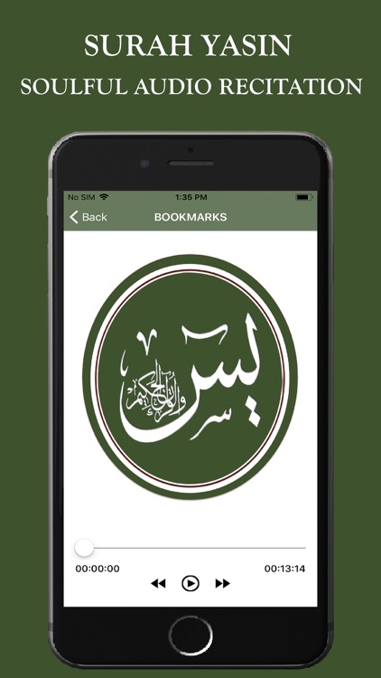 Surah Yaseen MP3 & Translation screenshot-3