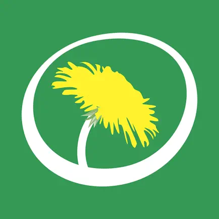 Engagera Dig Читы