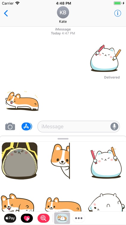 Dog and Cat Relationship