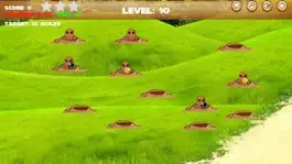 Game screenshot Whack Crazy Mole hack