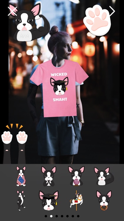 Boston Terrier Photo Booth screenshot-3