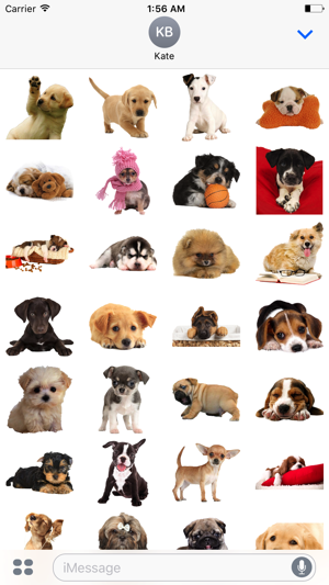 Puppies Stickers(圖2)-速報App