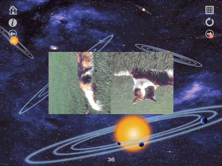 Turnings Image Puzzles 1