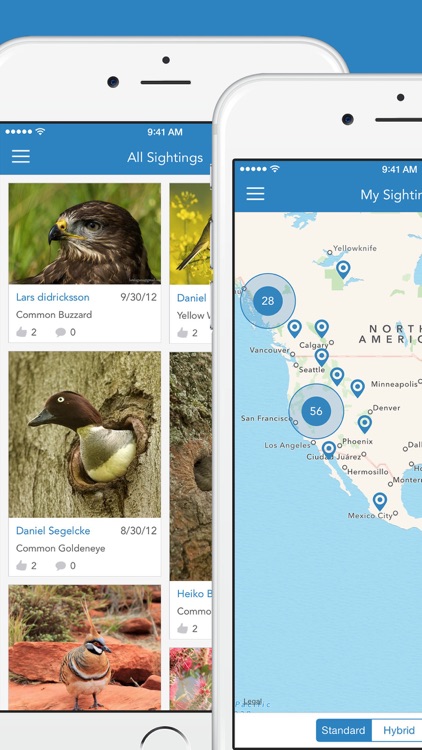 iKnow Birds 2 PRO - Europe screenshot-4