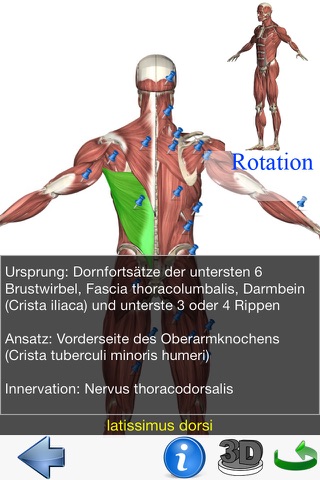 Visual Anatomy Lite screenshot 2