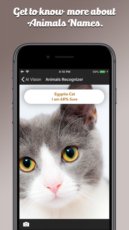 AI Vision screenshot-3