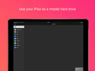 WiFi HD Wireless Disk Drive ipad bilder 0