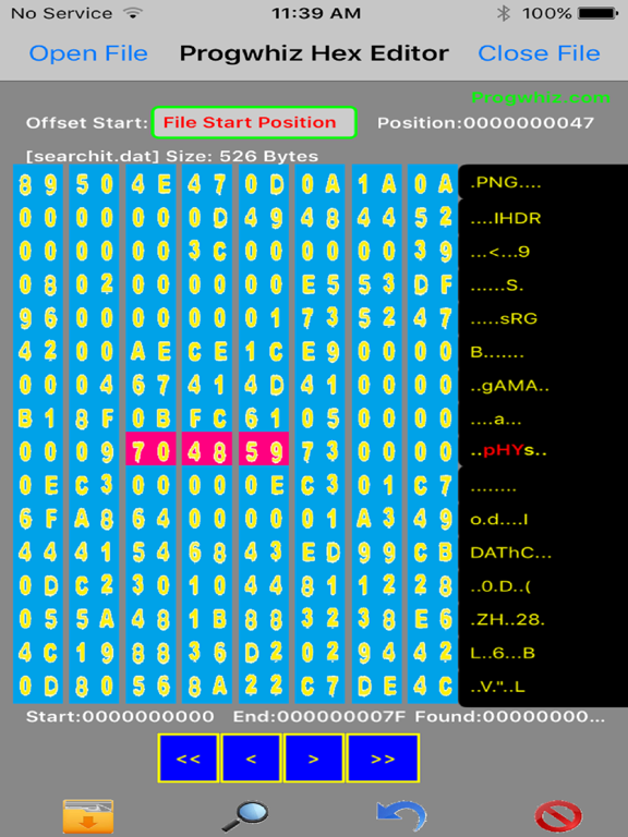 Screenshot #4 pour Progwhiz Hex Editor