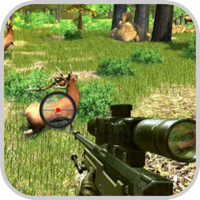 Deer Hunting Wild Animal Sinp