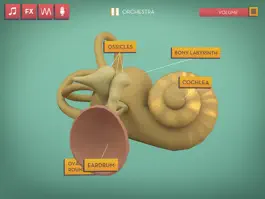 Game screenshot Hear Neuroscience mod apk