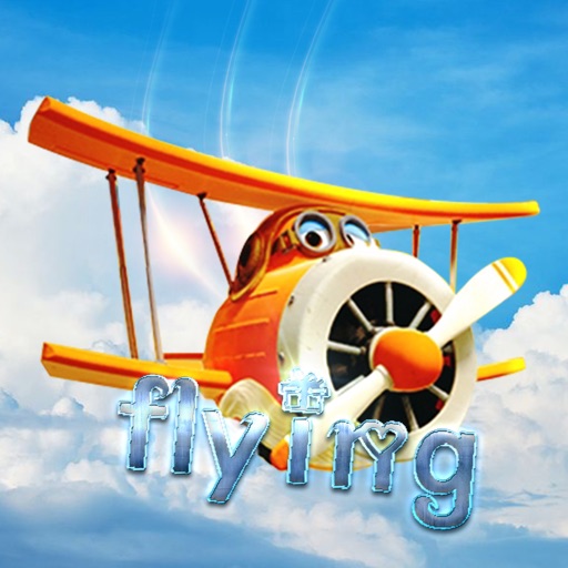 Flying sky: air flight simulat