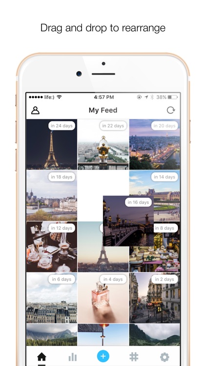 Plans! Your Perfect Feed