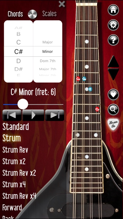 Mandolin Companion