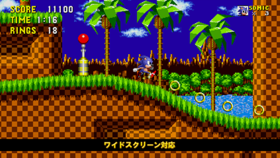 screenshot of ソニック・ザ・ヘッジホッグ 1